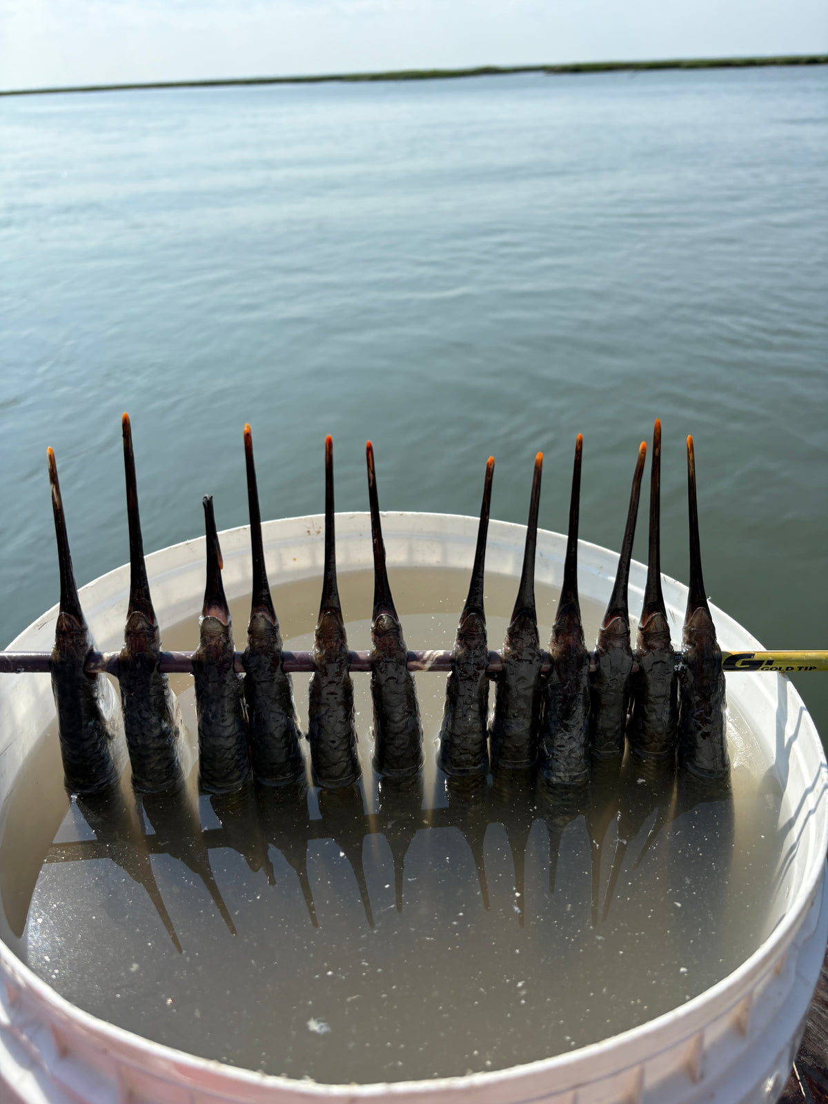 Dead Bait Solutions: The Ultimate Tournament-Grade Bait Brine – view 4