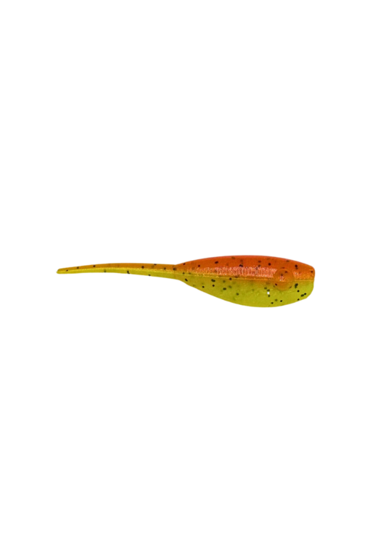 Baby Shad – view 4