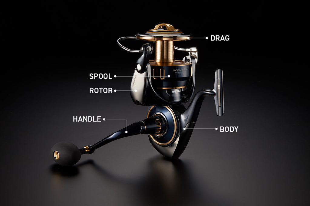 25 SALTIGA 30000 Spinning Pre-Order