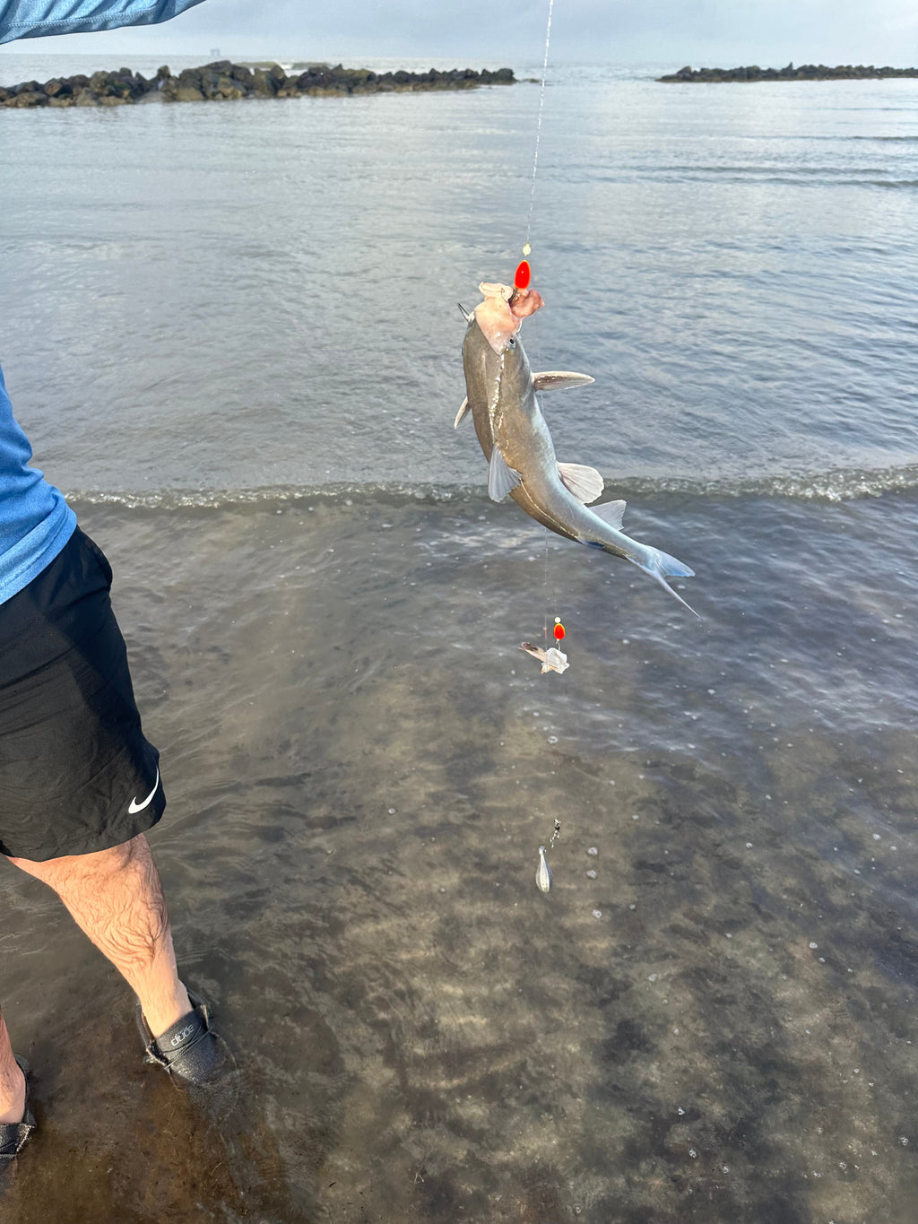 2 For 1 Rig – view 5
