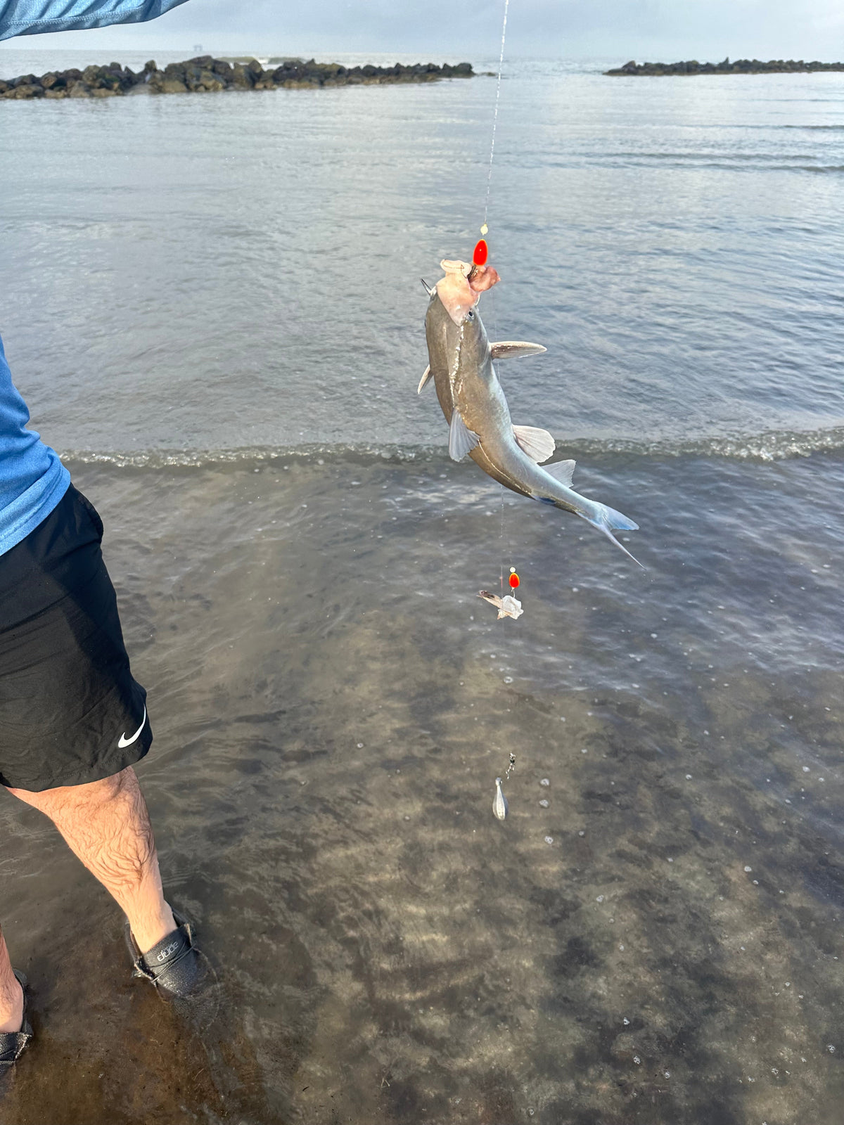 2 For 1 Rig – view 5