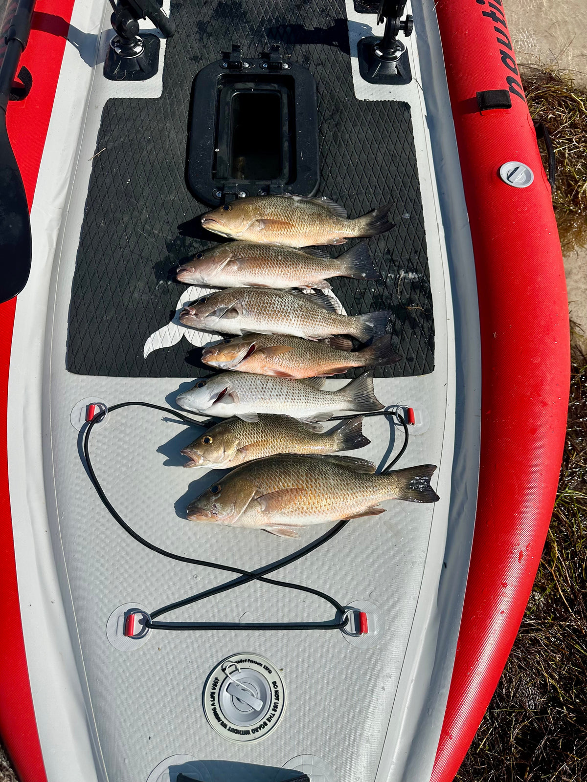 Nautiqua | ARUBA | Deluxe Paddleboard Fishing Pedal Kayak | Red – view 4