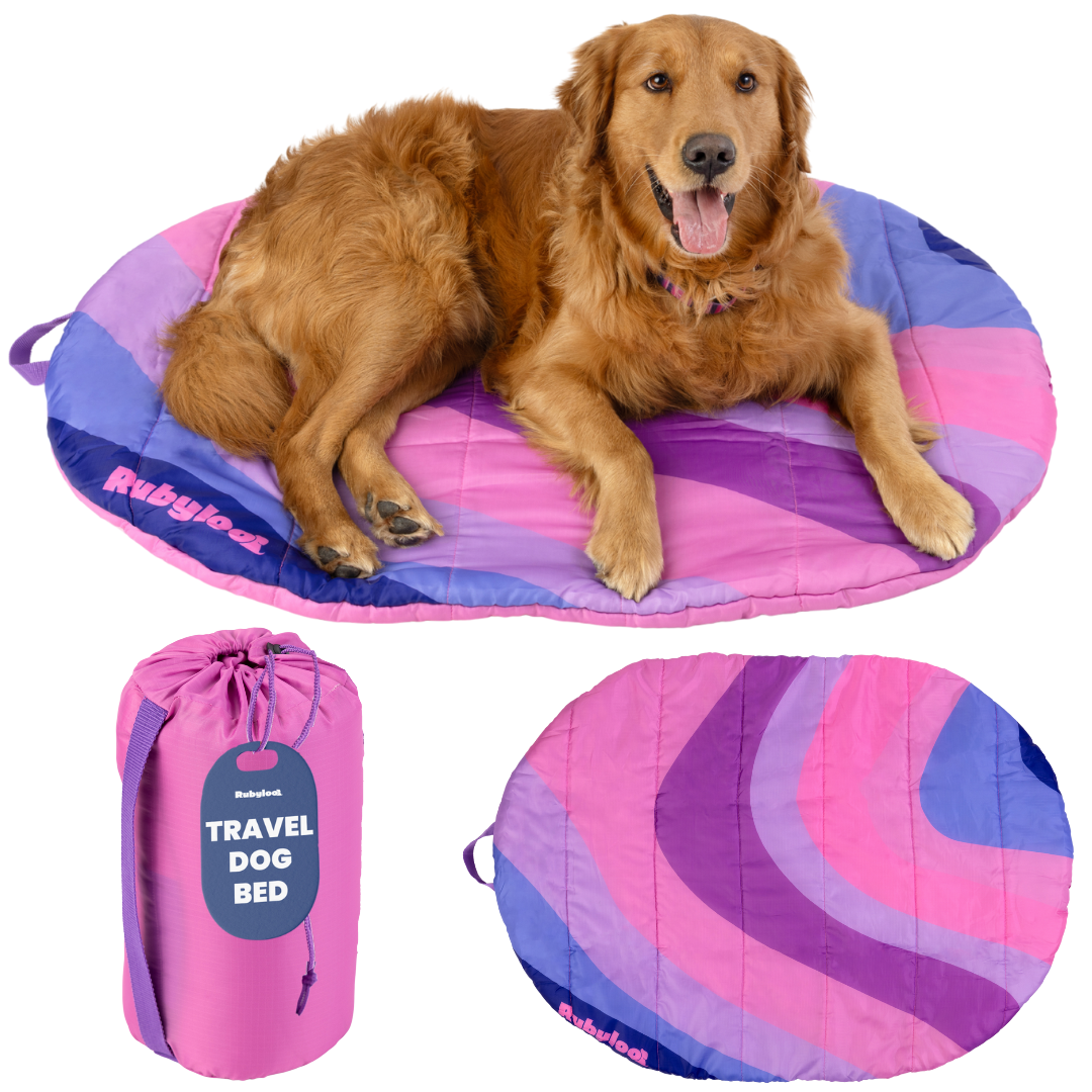 Travel Dog Bed - Foldable & Packable for Travel, Road Trip, Camping – view 8