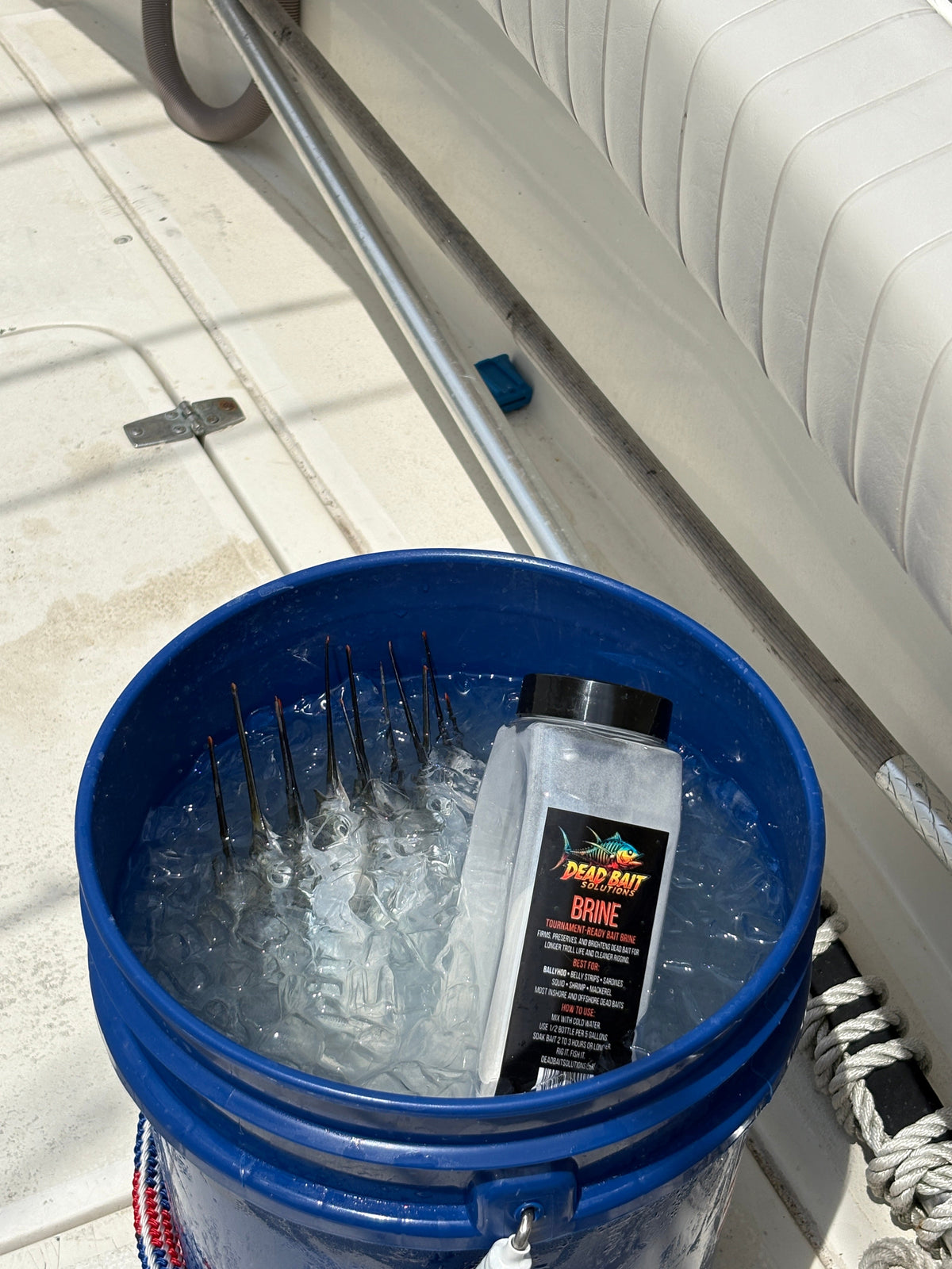 Dead Bait Solutions: The Ultimate Tournament-Grade Bait Brine – view 6