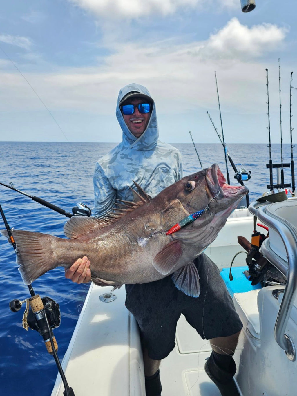 Daiwa Seaborg Mega Twin Electric Reels – view 2